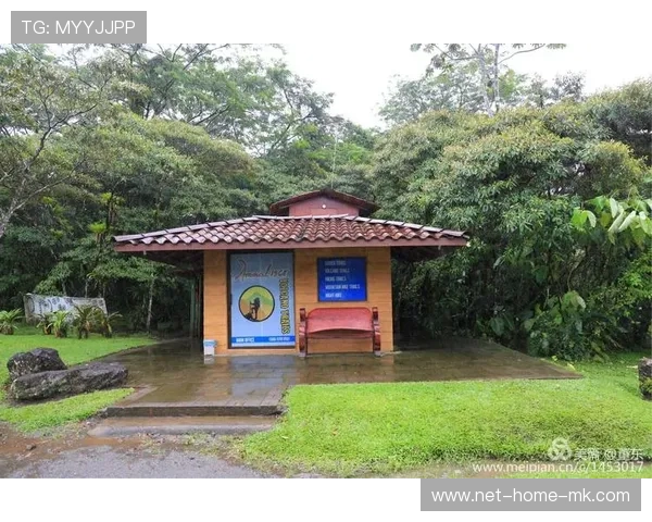阿根廷国家队观看湖人比赛，备战与哥斯达黎加的友谊赛，阿根廷 nba