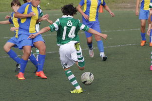 mk体育app-中国足球外援依赖度趋势分析，中国足球外援依赖度趋势分析图