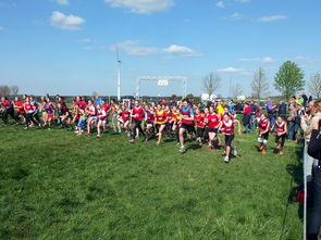 mk体育app下载-青少年体育运动社会支持系统研究，青少年体育运动社会支持系统研究现状